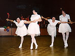 Fasching 2003 - Männerballet