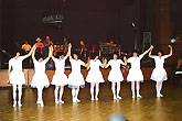 Fasching 2003 - Männerballet